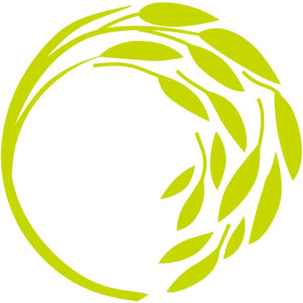 APHN_Logo_R199_G216_B0 APHN_Logo_R199_G216_B0