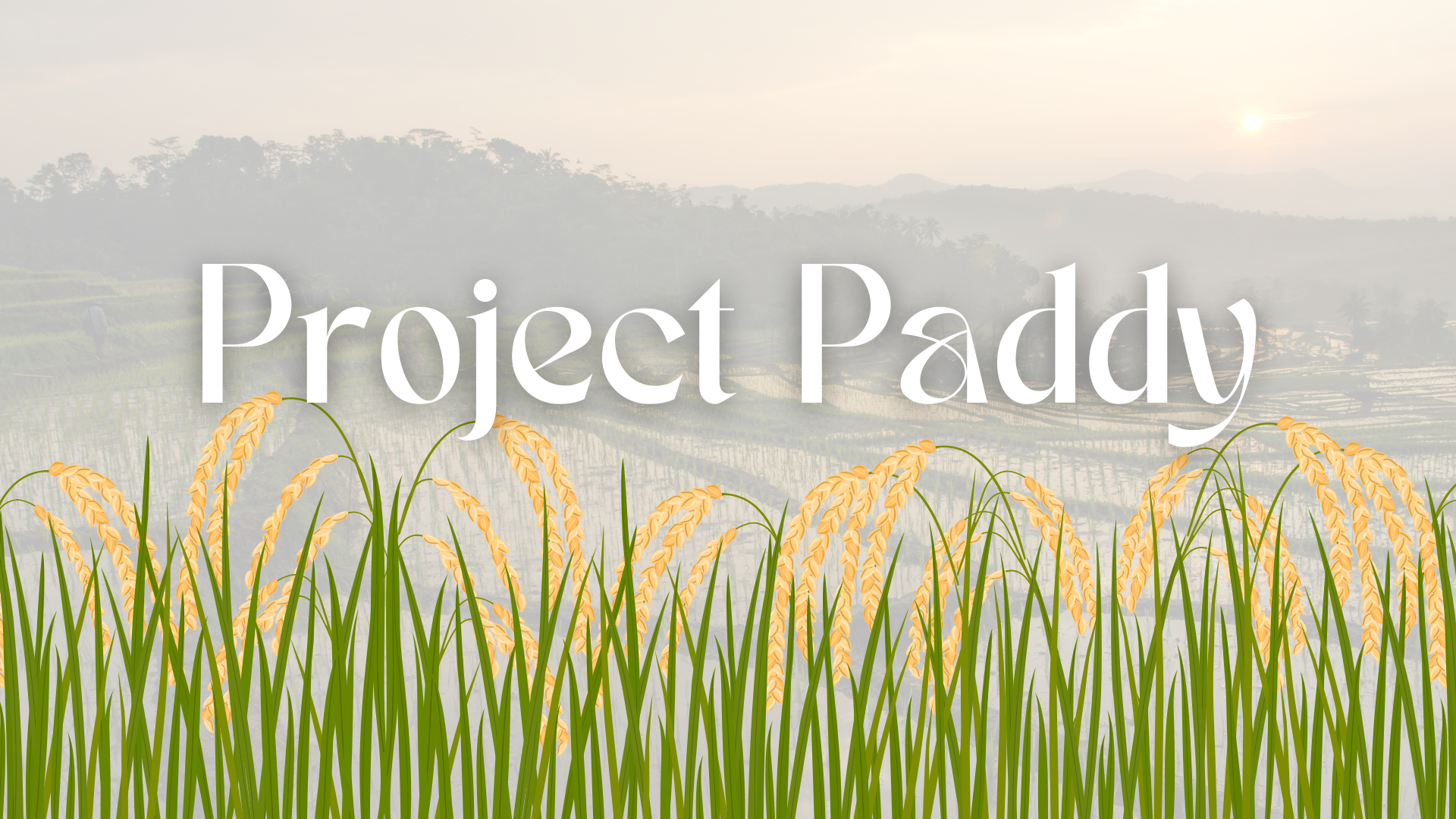 Project Paddy-main2
